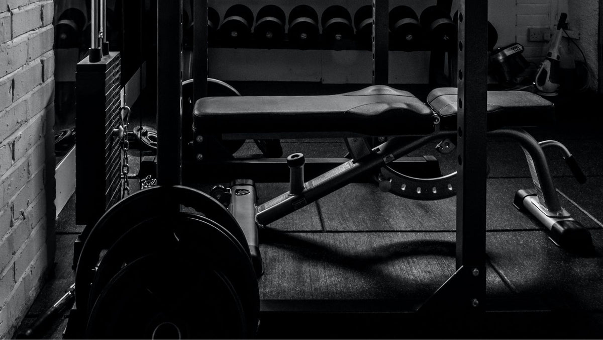 allenamento bicipiti/tricipiti – Fitmax Srl