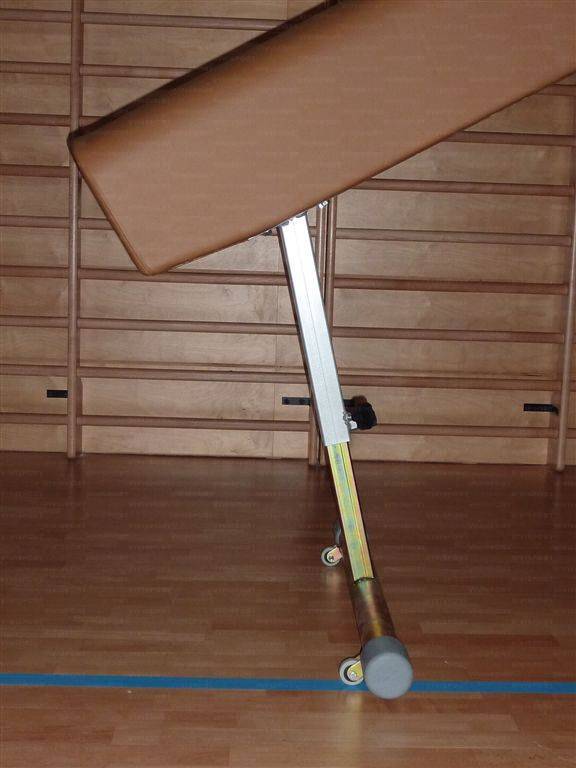 Vivisport Cavallo per volteggio senza maniglie, rivestimento in cuoio - 1157