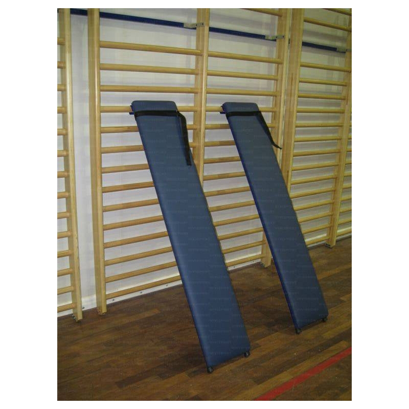 Vivisport Panchetta per addominali imbottita aggancibile a spalliera - 1515