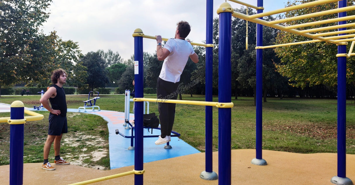 Golden Games Fitness Park F-Tupe 101 - FPSW01