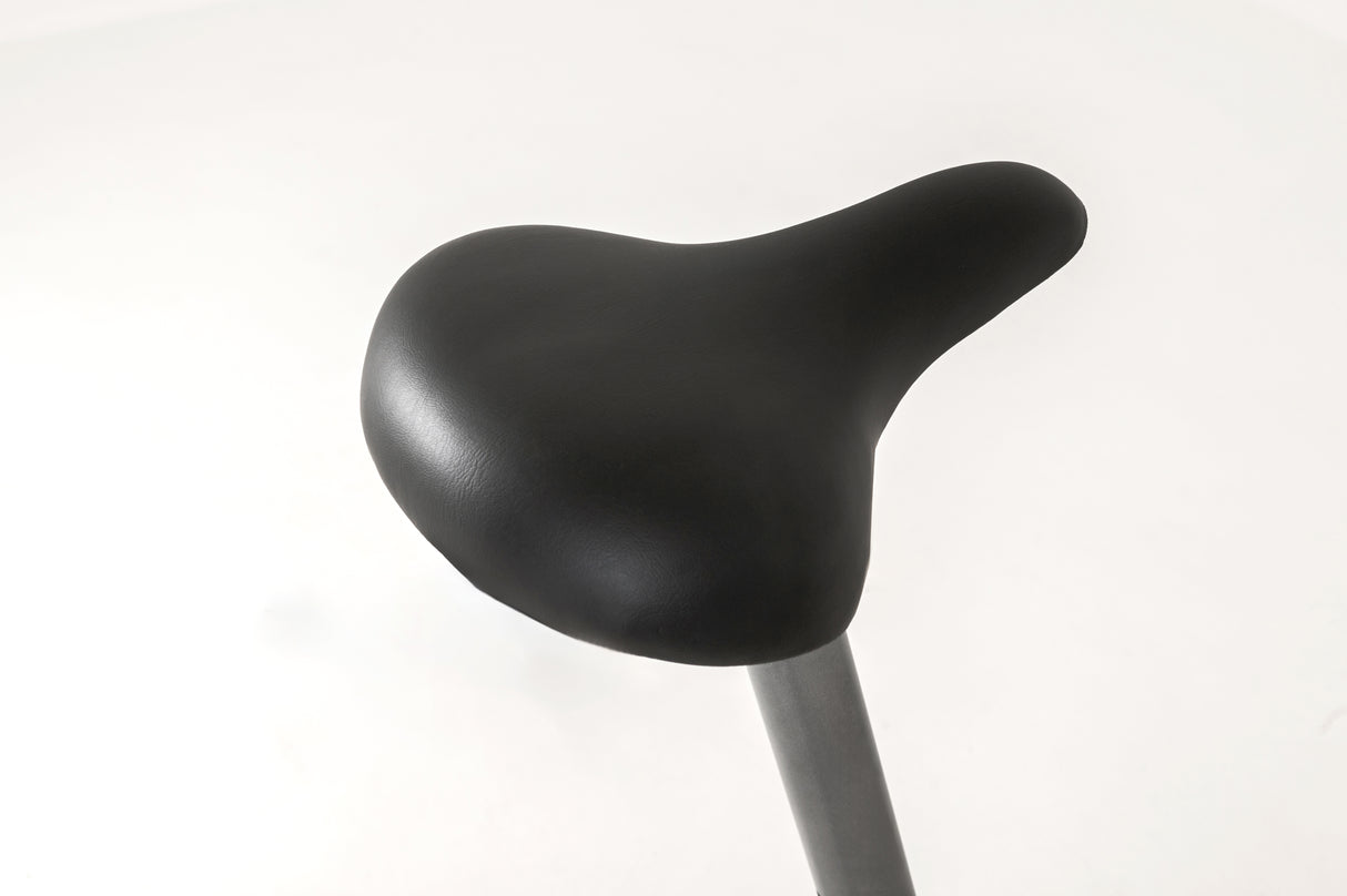 Everfit Cyclette BFK-550