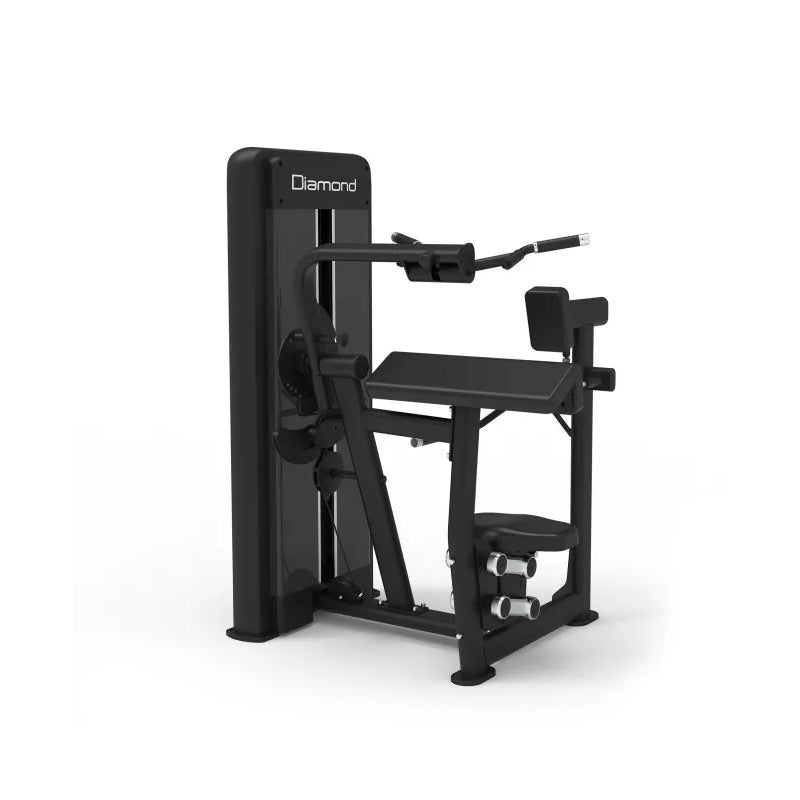 Diamond Combo Biceps / Triceps Machine Professionale Serie 550
