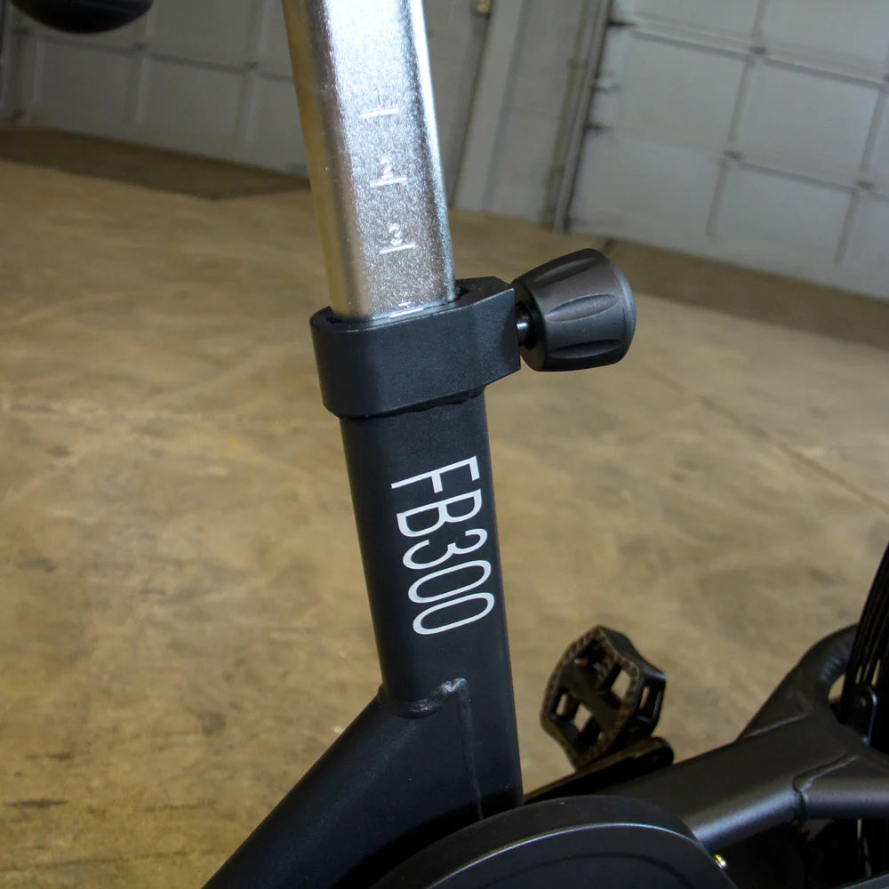 Body Solid Endurance Fan Bike
