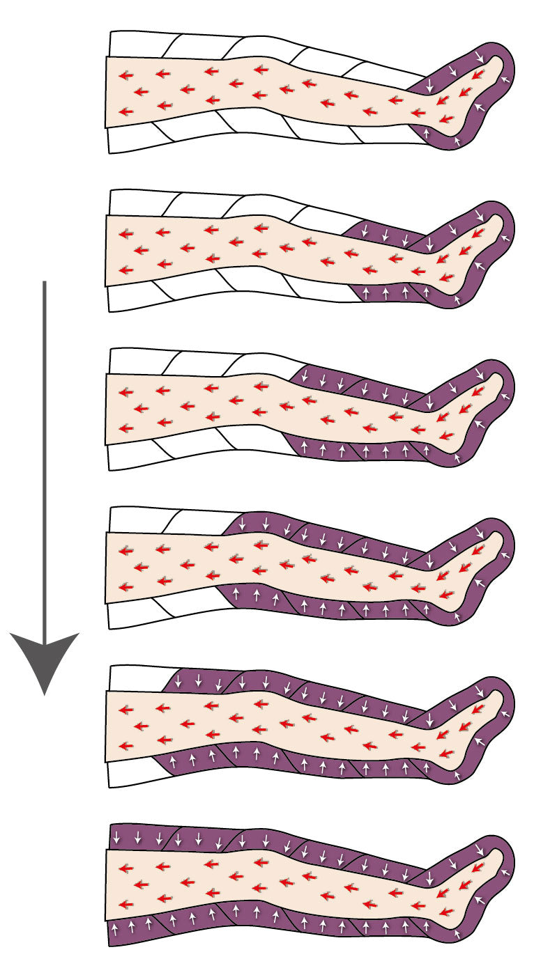 Mesis Pressotherapy PressoMedical 1.0 SIX6 - Basic