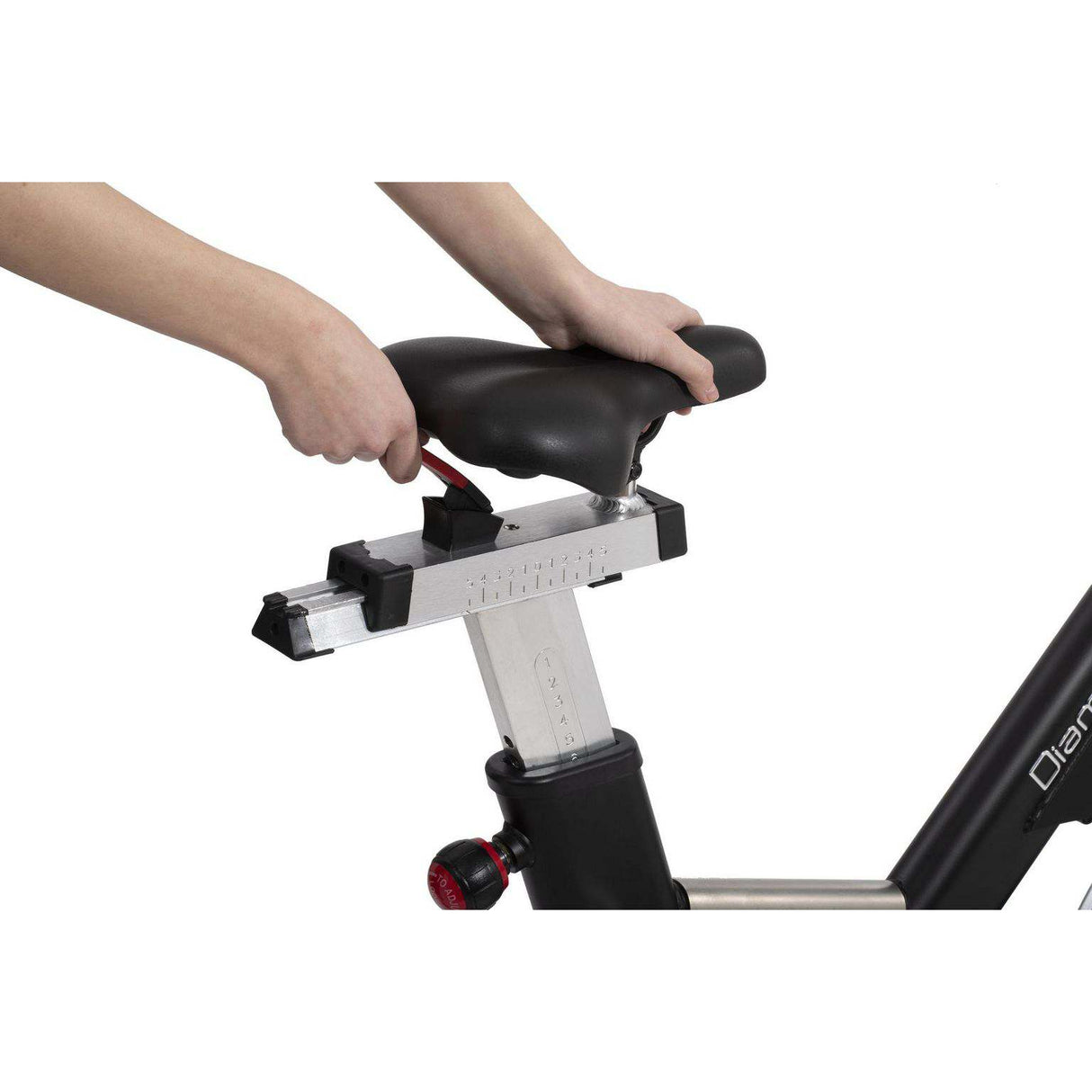 Diamond Spin Bike S53