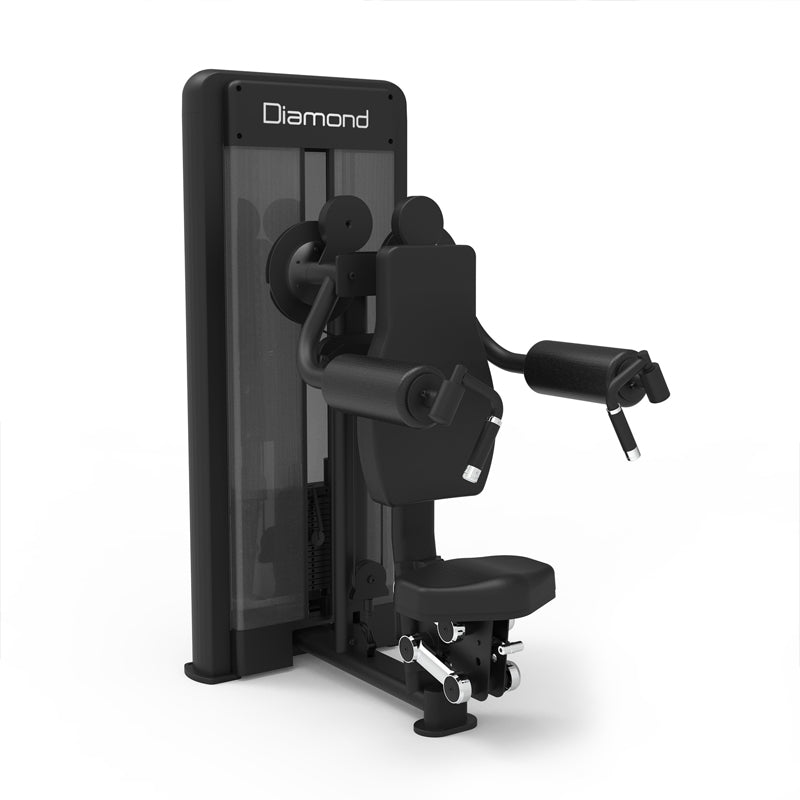 Diamond Seater Lateral Raise Professionale Serie 550