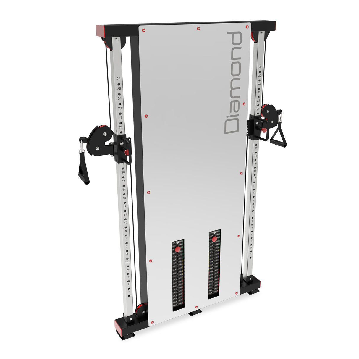 Diamond Poliercolina doppia WS350-PED