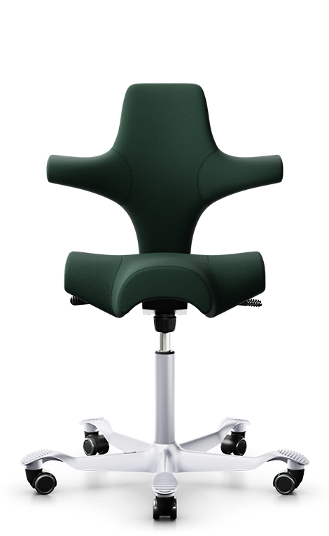 HAG Capisco 8106 - Verde 68209