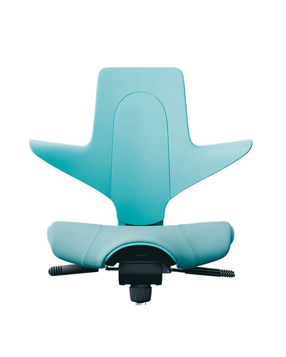 Hag Cuscino Sedile per capisco 8010 (vari colori)