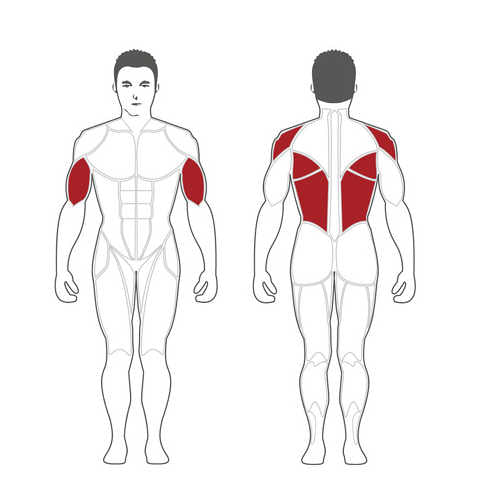 Steelflex Plateload T-Bar Row PLTR-BR