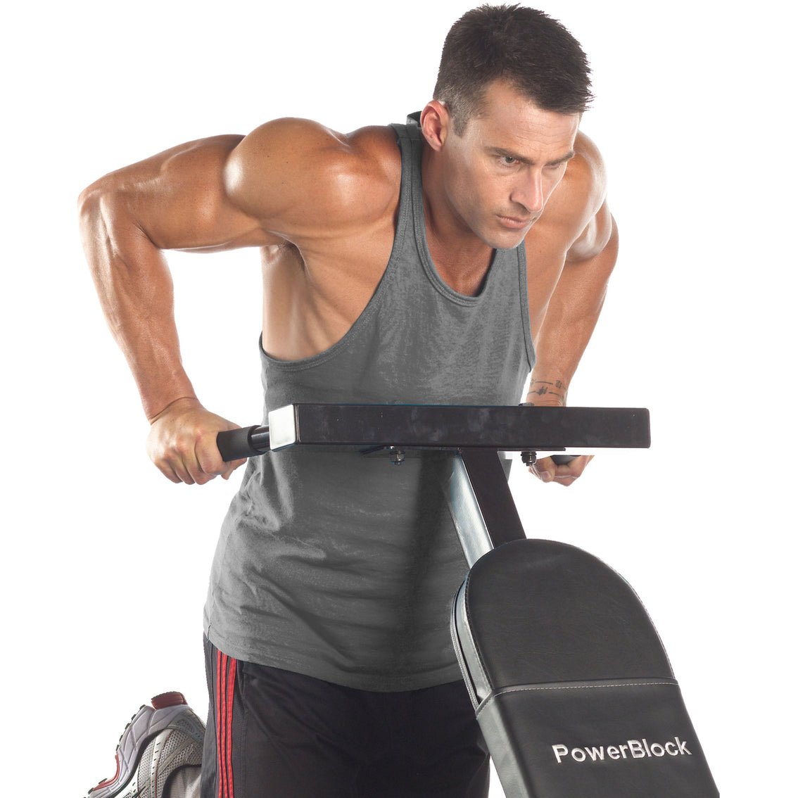 Powerblock Dip Attachment for Sport Bench