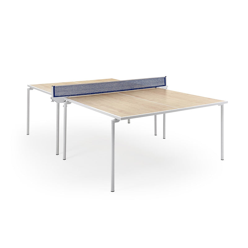 Fas Ping Pong Spider