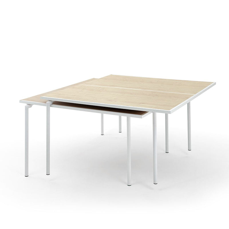 Fas Ping Pong Spider