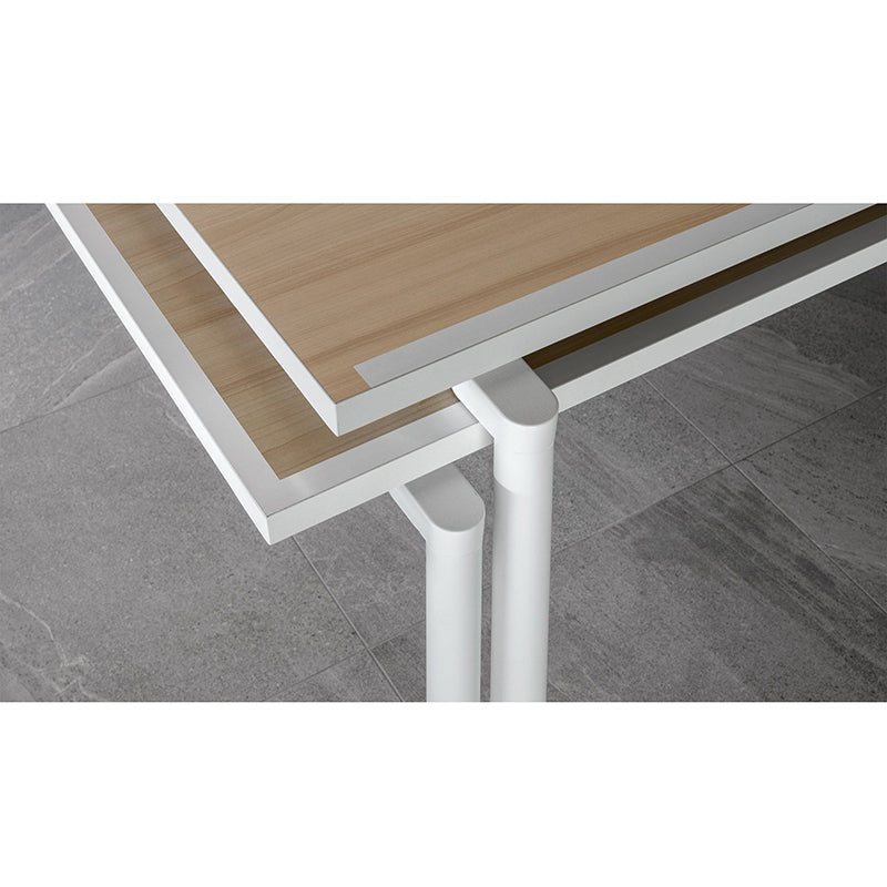 Fas Ping Pong Spider