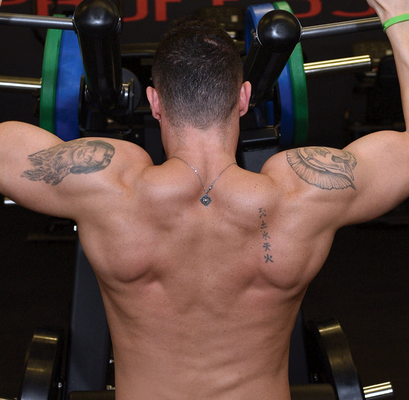 Toorx Pull Down FWX-5600