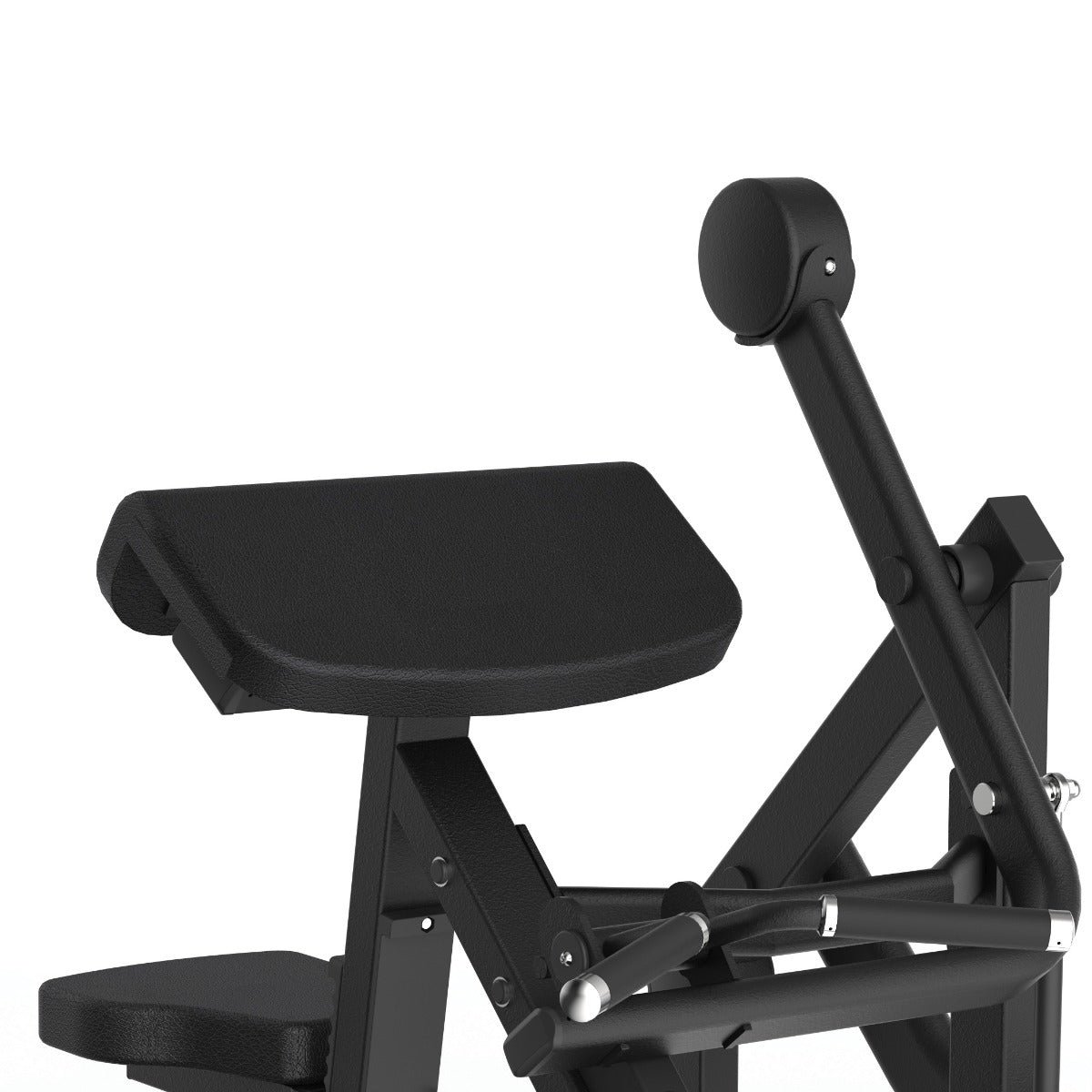 Toorx Avant Line Biceps Curl FWX-7100