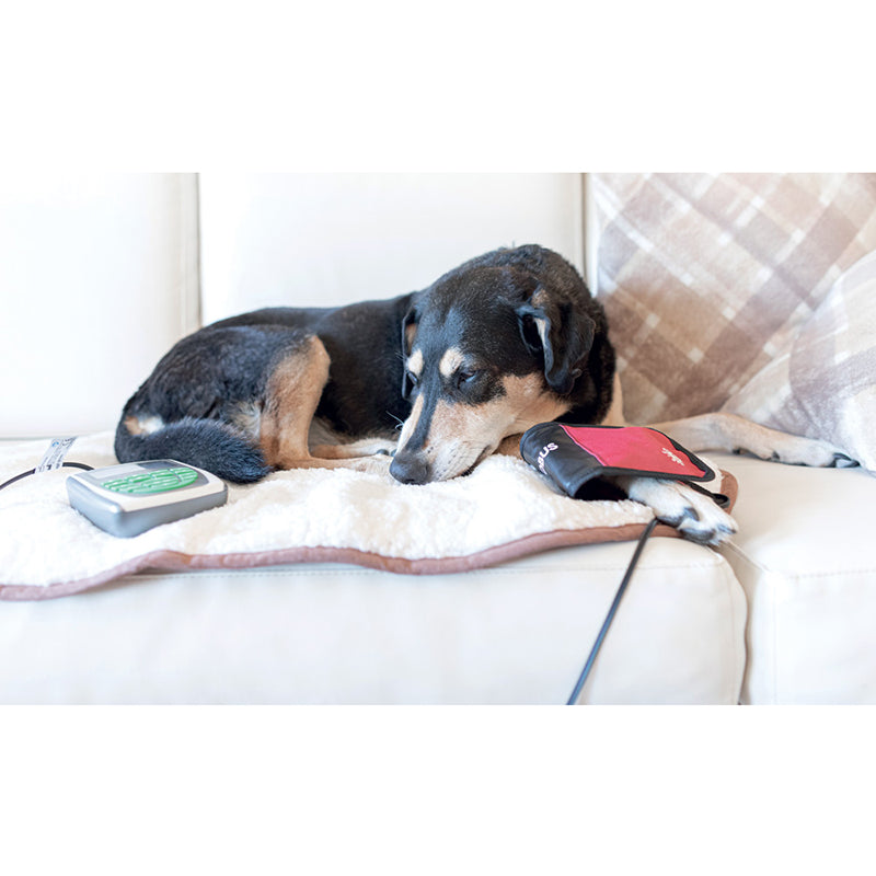 Globus Magnetovet 200 con cuccia