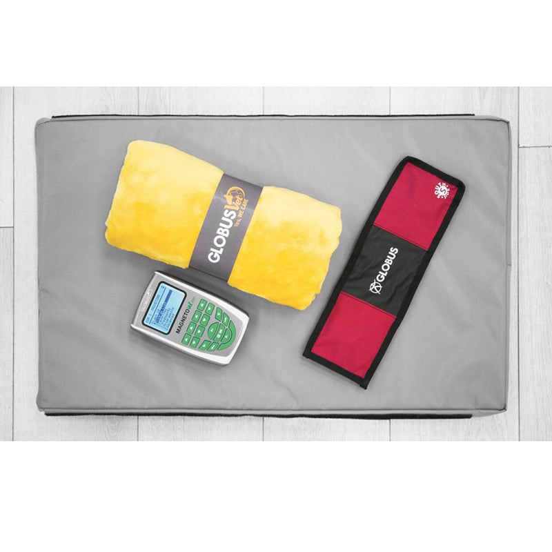 Globus Magnetovet 200 con cuccia