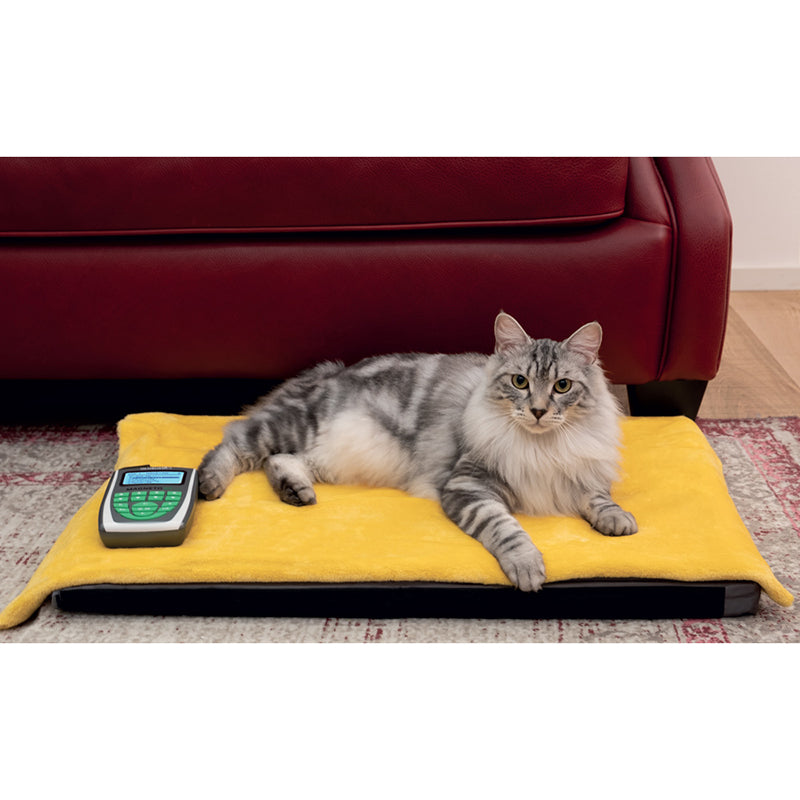 Globus Magnetovet 200 con cuccia