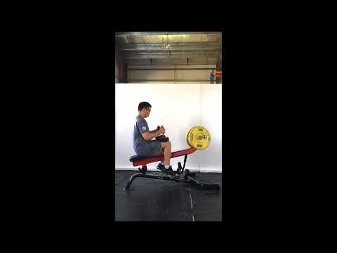 Steelflex Plateload Seated Calf PLSC