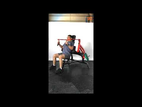 Steelflex Plateload Triceps Extension PLTE