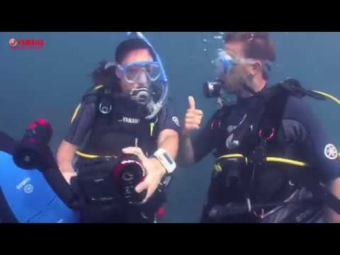 Yamaha Seascooter PDS220LI