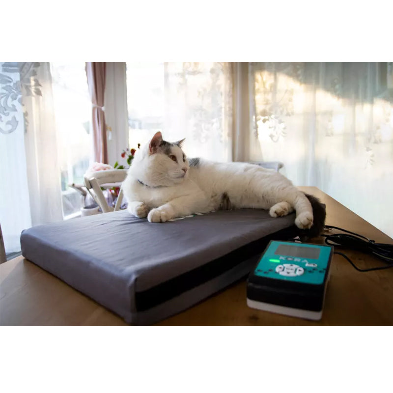 I-Tech Magnetoterapia Veterinaria Kora