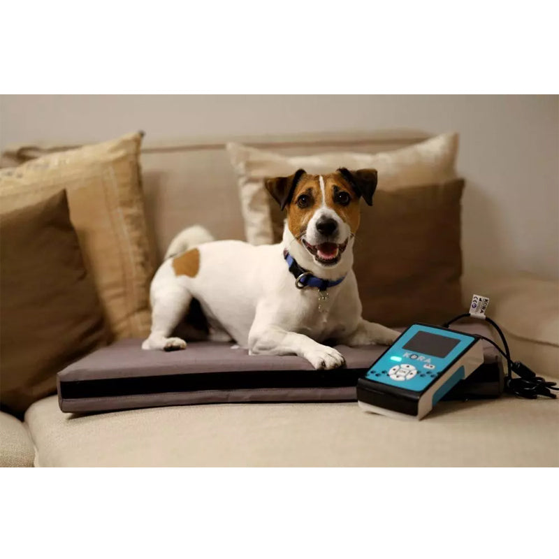 I-Tech Magnetoterapia Veterinaria Kora