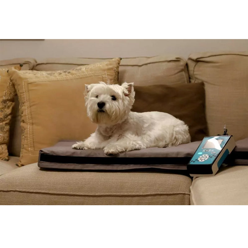 I-Tech Magnetoterapia Veterinaria Kora