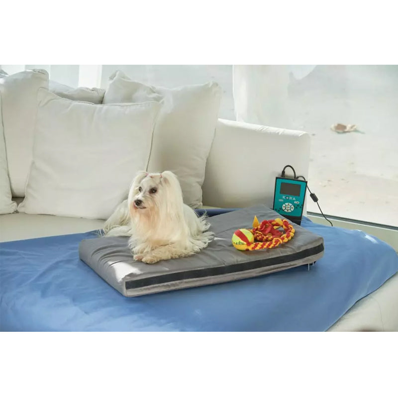 I-Tech Magnetoterapia Veterinaria Kora