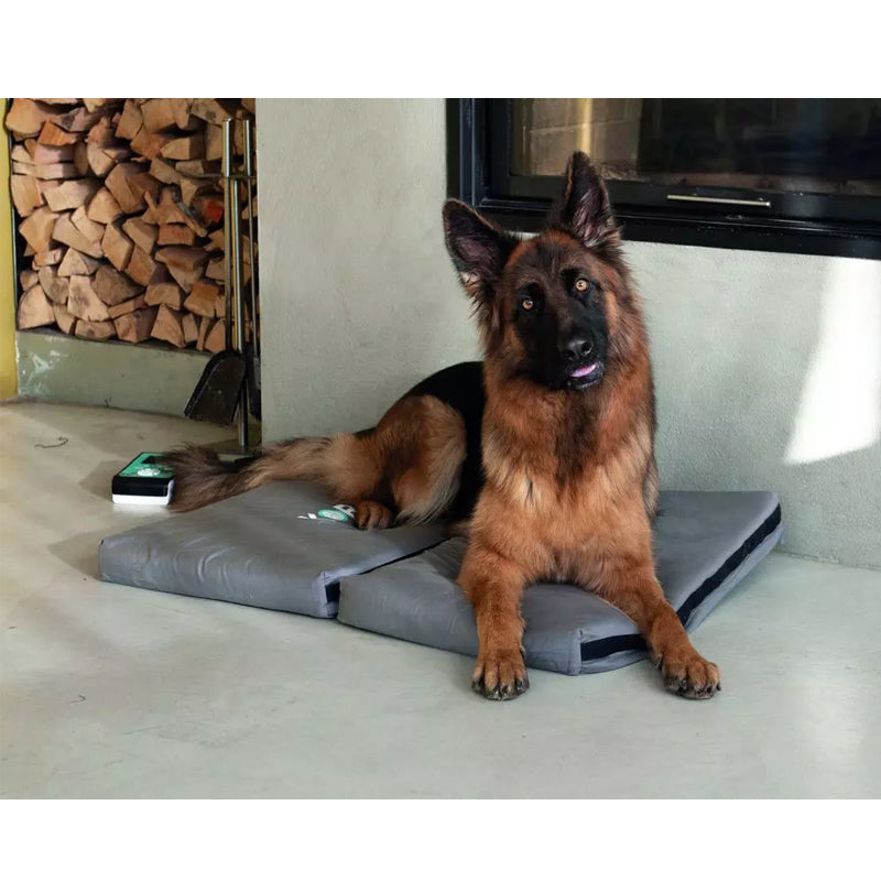 I-Tech Magnetoterapia Veterinaria Kora