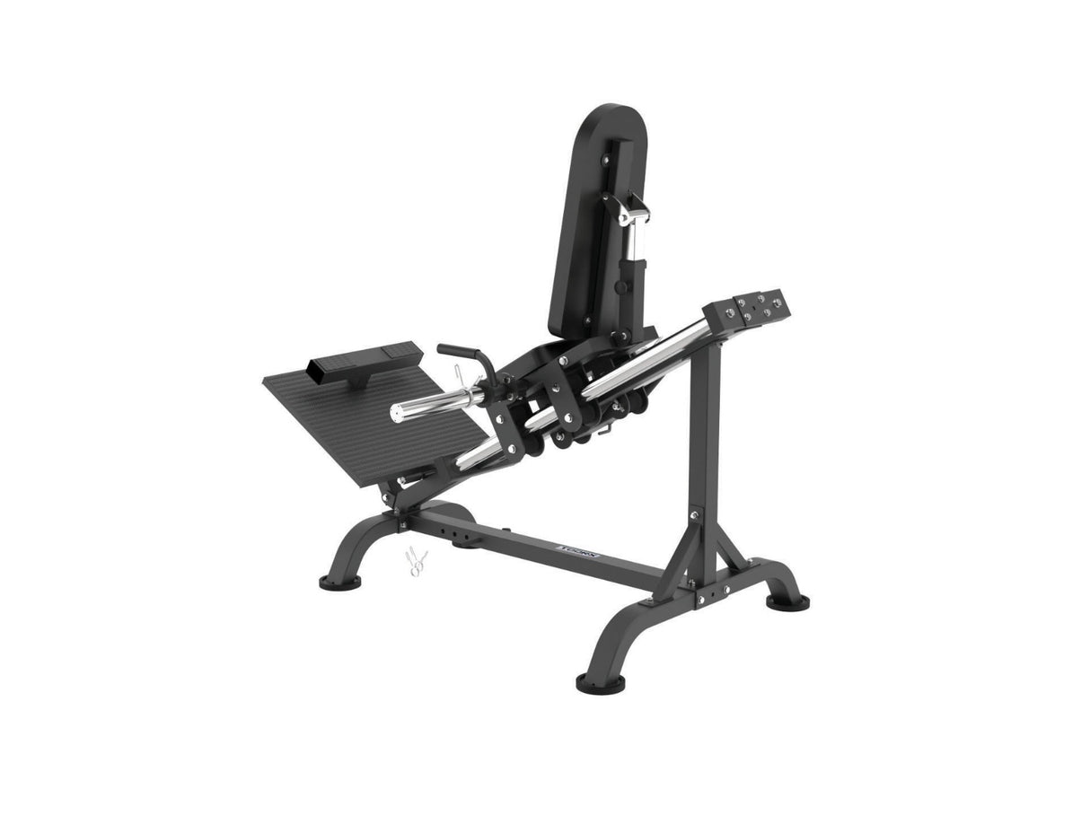 Toorx Vertical Line Leg press / calf raise LPX-3000