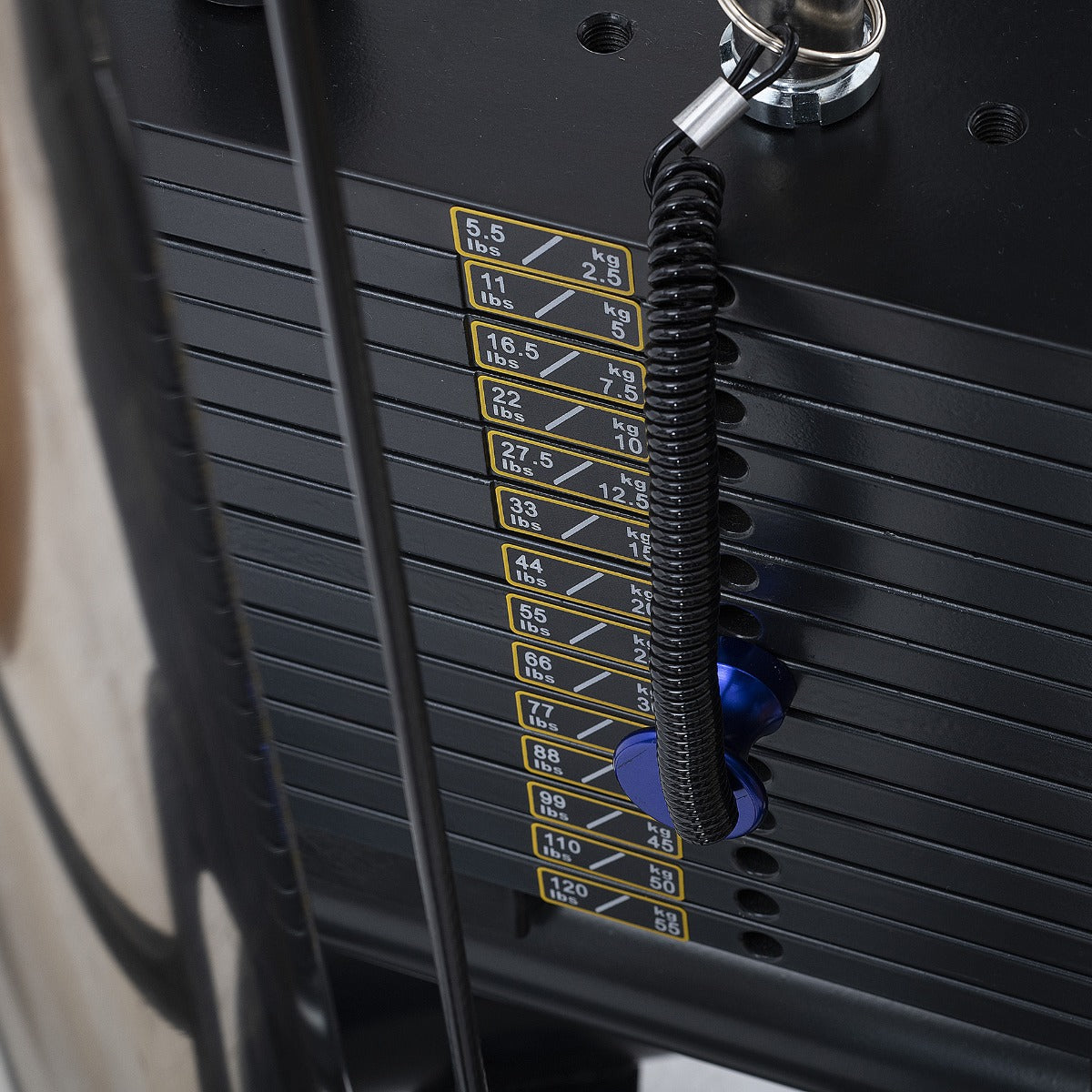 Diamond Ercolina serie 350 - PIN-ERCOLINE