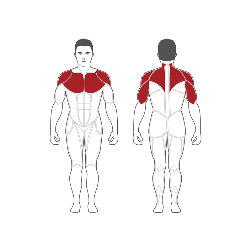 Steelflex Dual Plateload Chest Press / Shoulder Press PL2100-BR