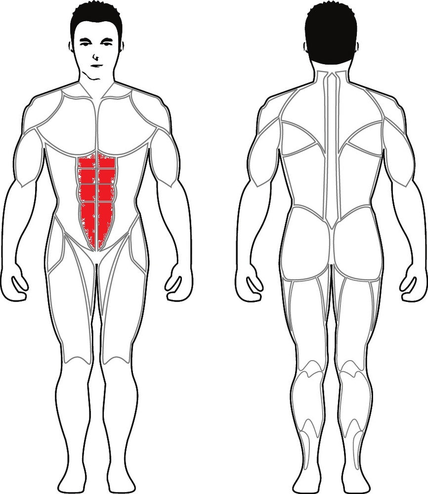Steelflex Plateload Abdominal Crunch PLAC