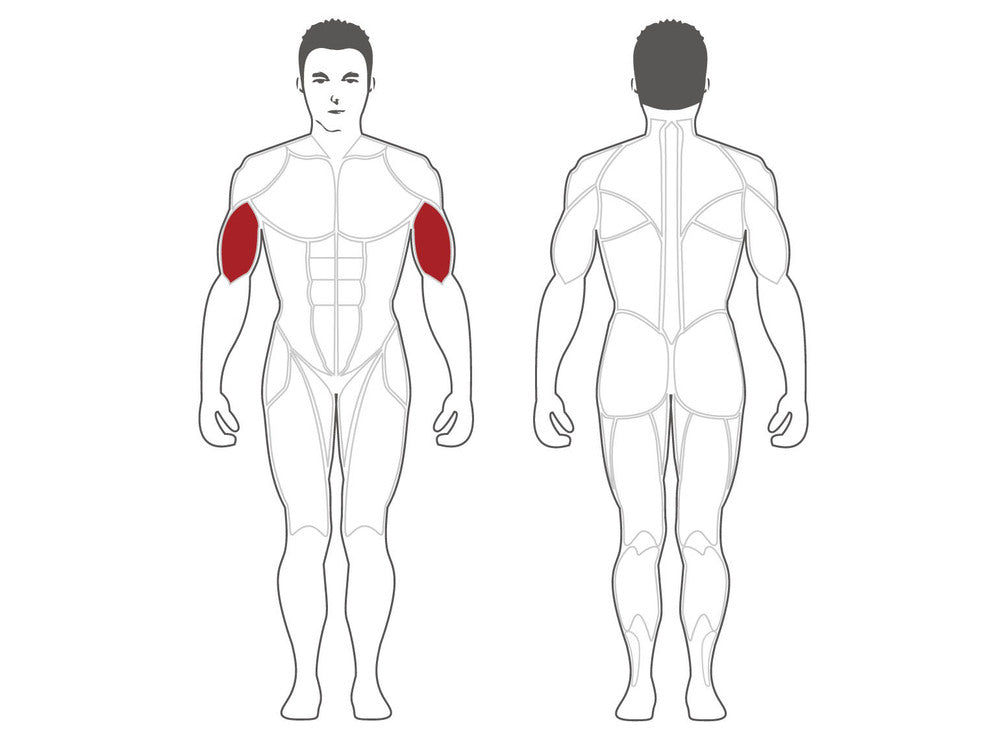 Steelflex Dual Plateload Biceps Curl PLBC