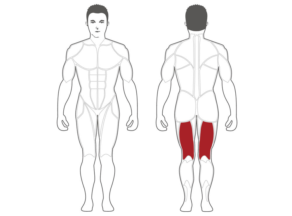 Steelflex Plateload Leg Curl PLLC