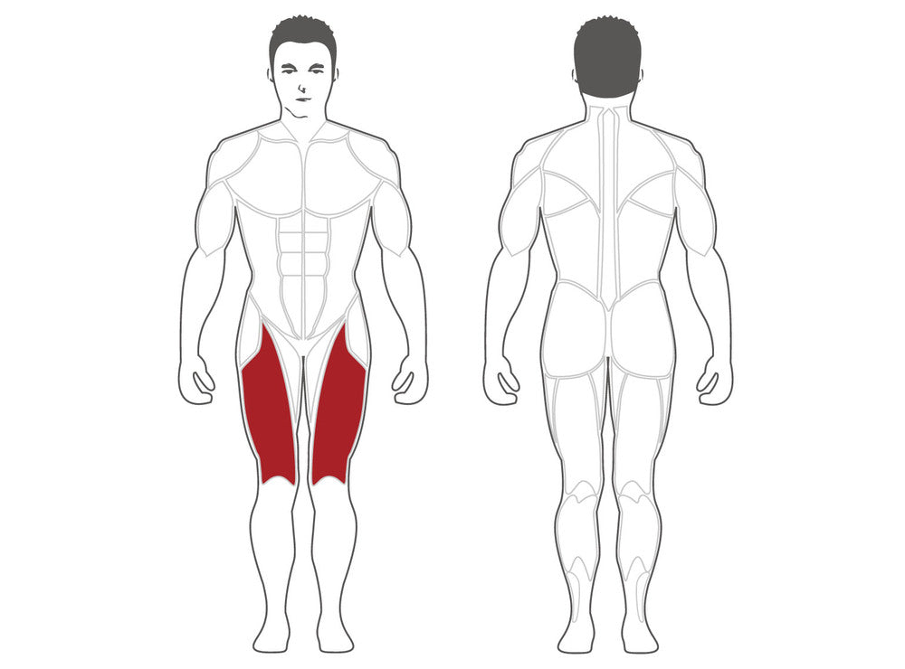 Steelflex Plateload Leg Extension PLLE