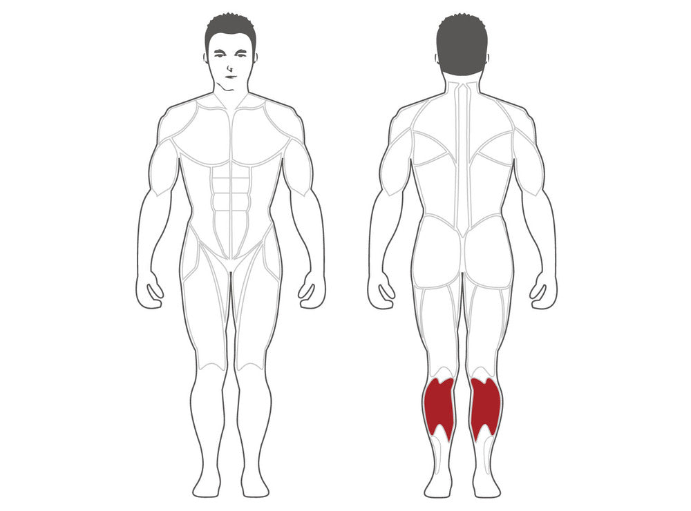 Steelflex Plateload Seated Calf PLSC
