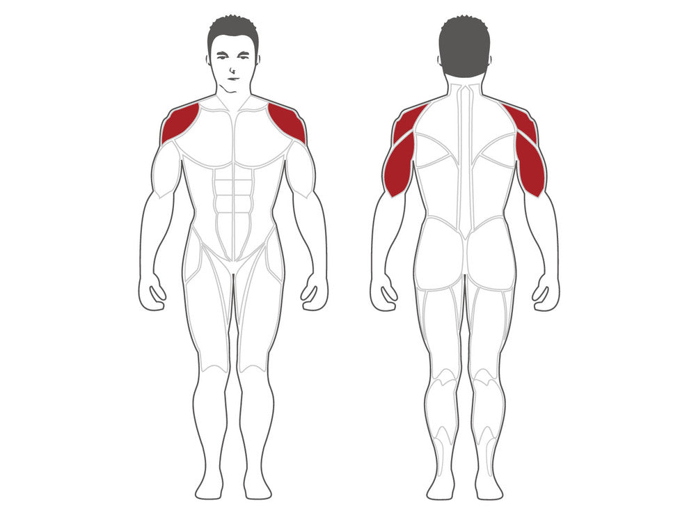 Steelflex Plateload Shoulder Press PLSP