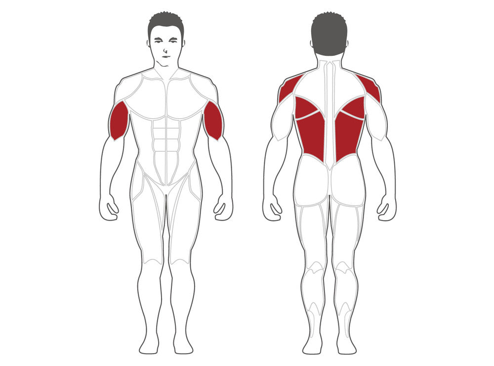 Steelflex Plateload Seated Row PLSR-BR