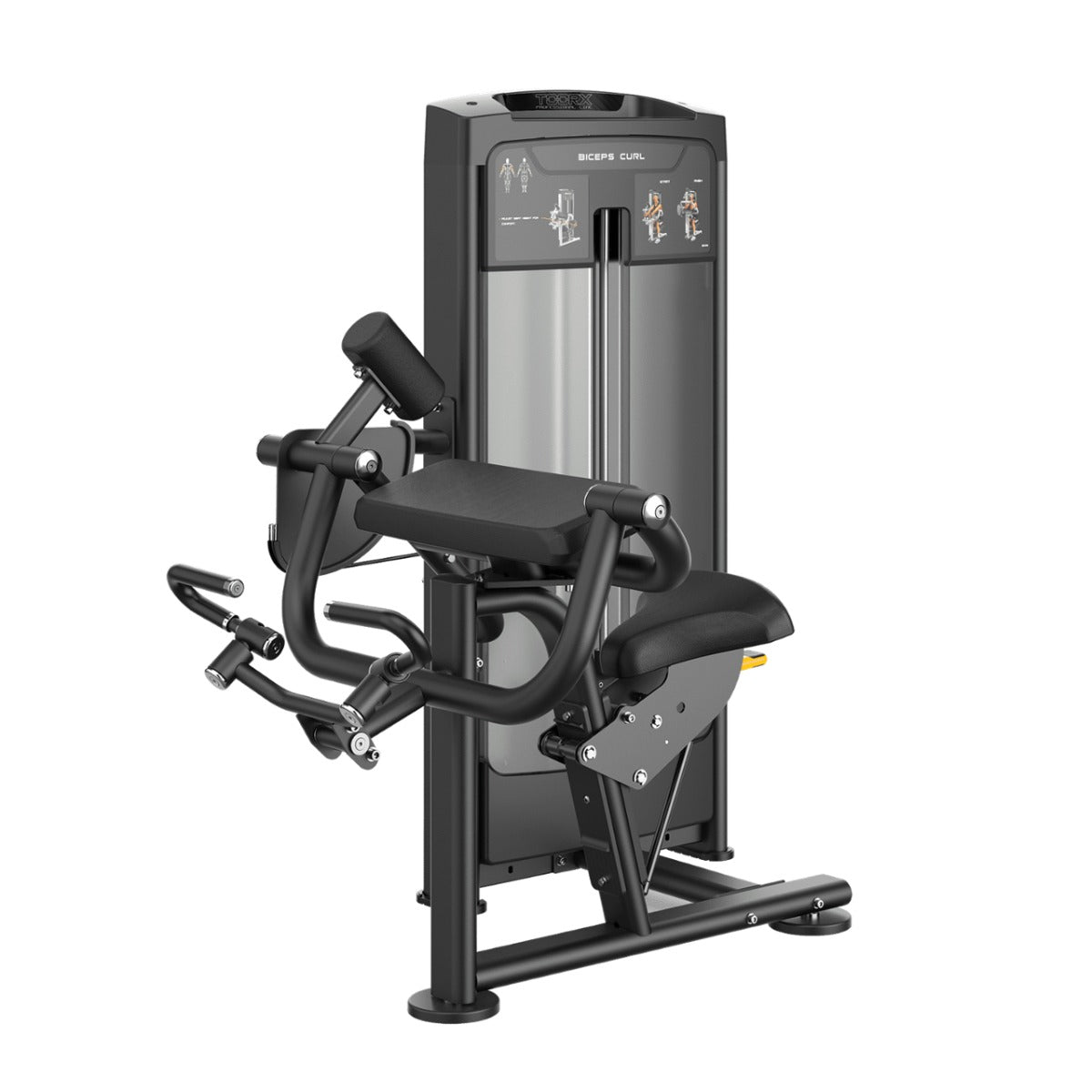 Toorx Absolute Line Biceps curl PLX 8600