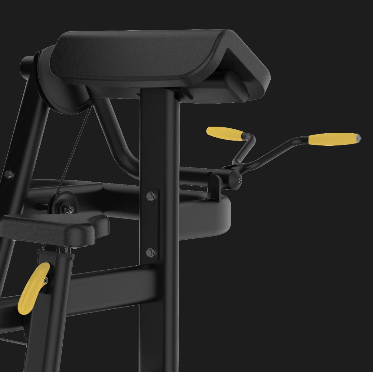 Toorx Aktiv Line Biceps Curl PLX-3800