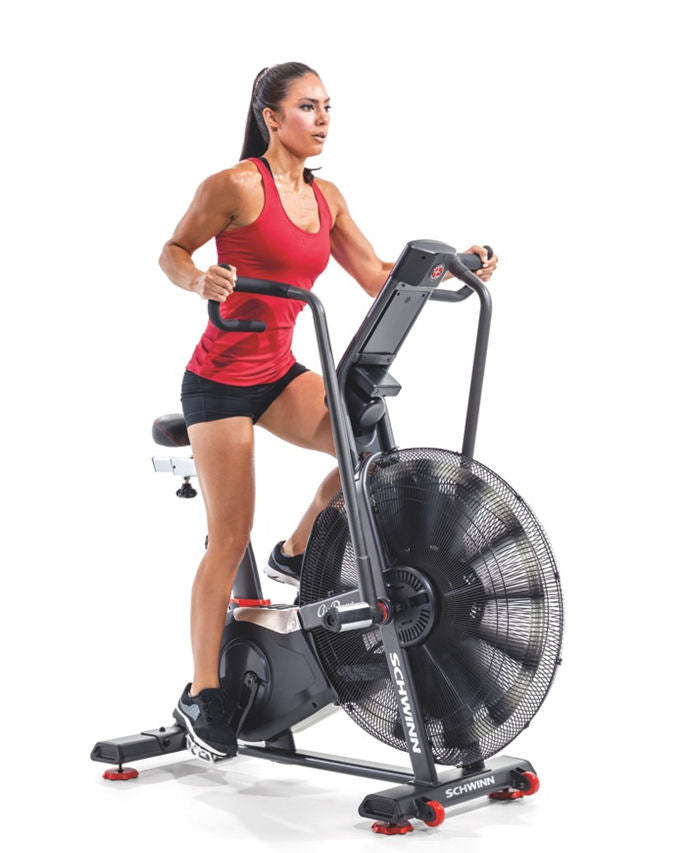 Schwinn Airdyne AD8