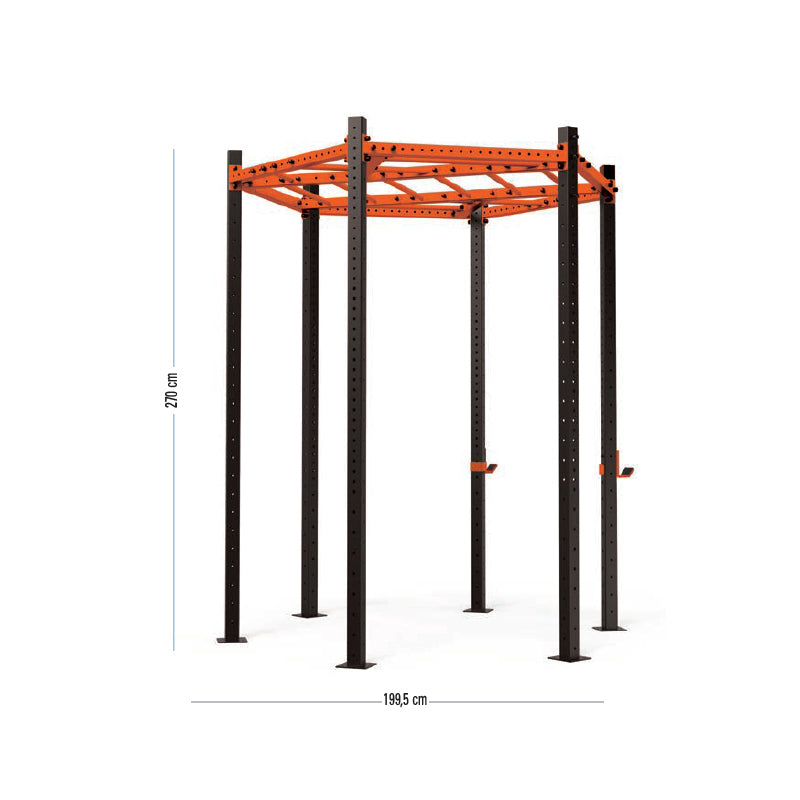 Toorx Crosstraining Functional Master Hexagon Outdoor