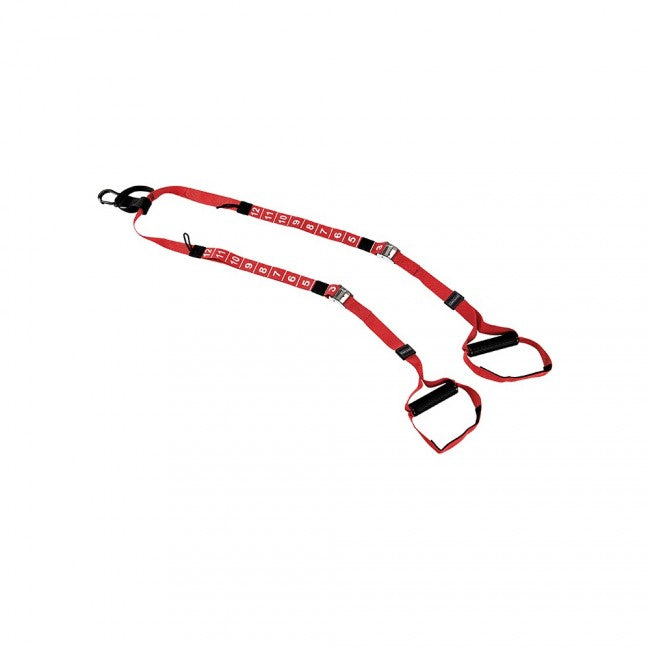 Diamond Total Training Experience Super TTED