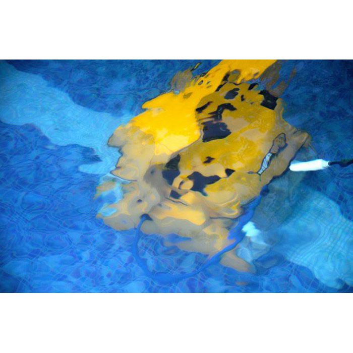 Dolphin Wave 100 Robot Pulizia Piscina