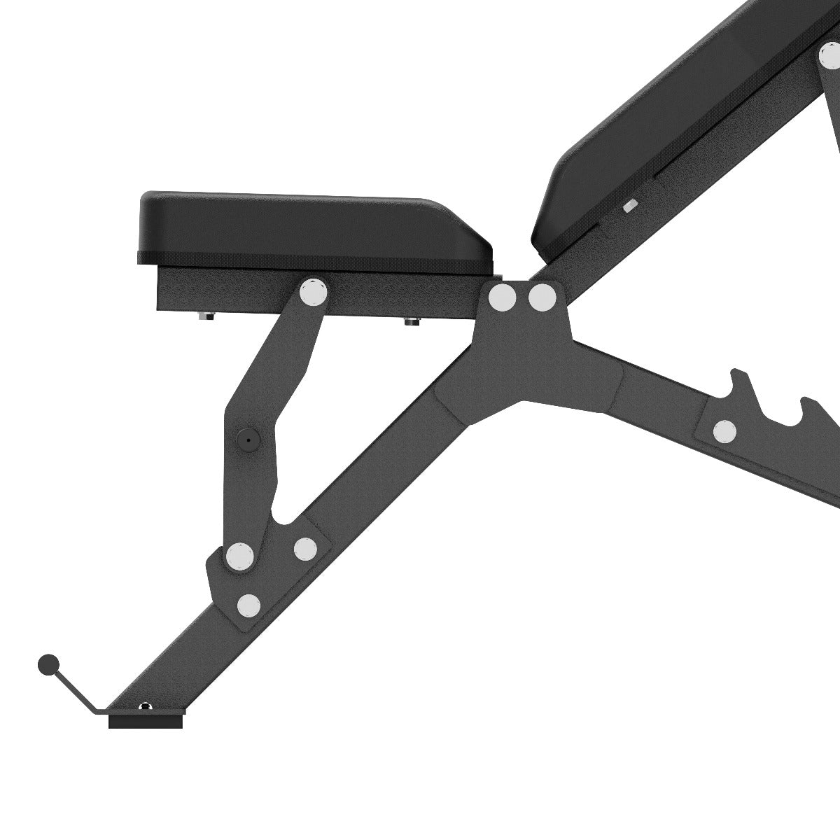 Toorx Vertical Line Panca piana e inclinabile WBX-400