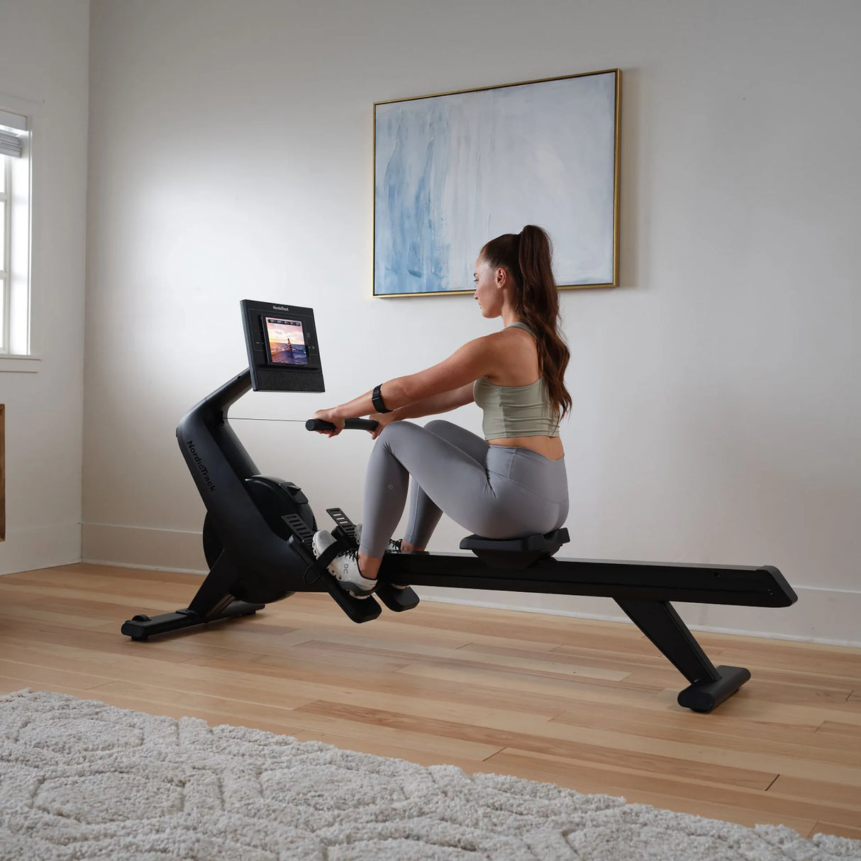 Nordictrack Vogatore RW300