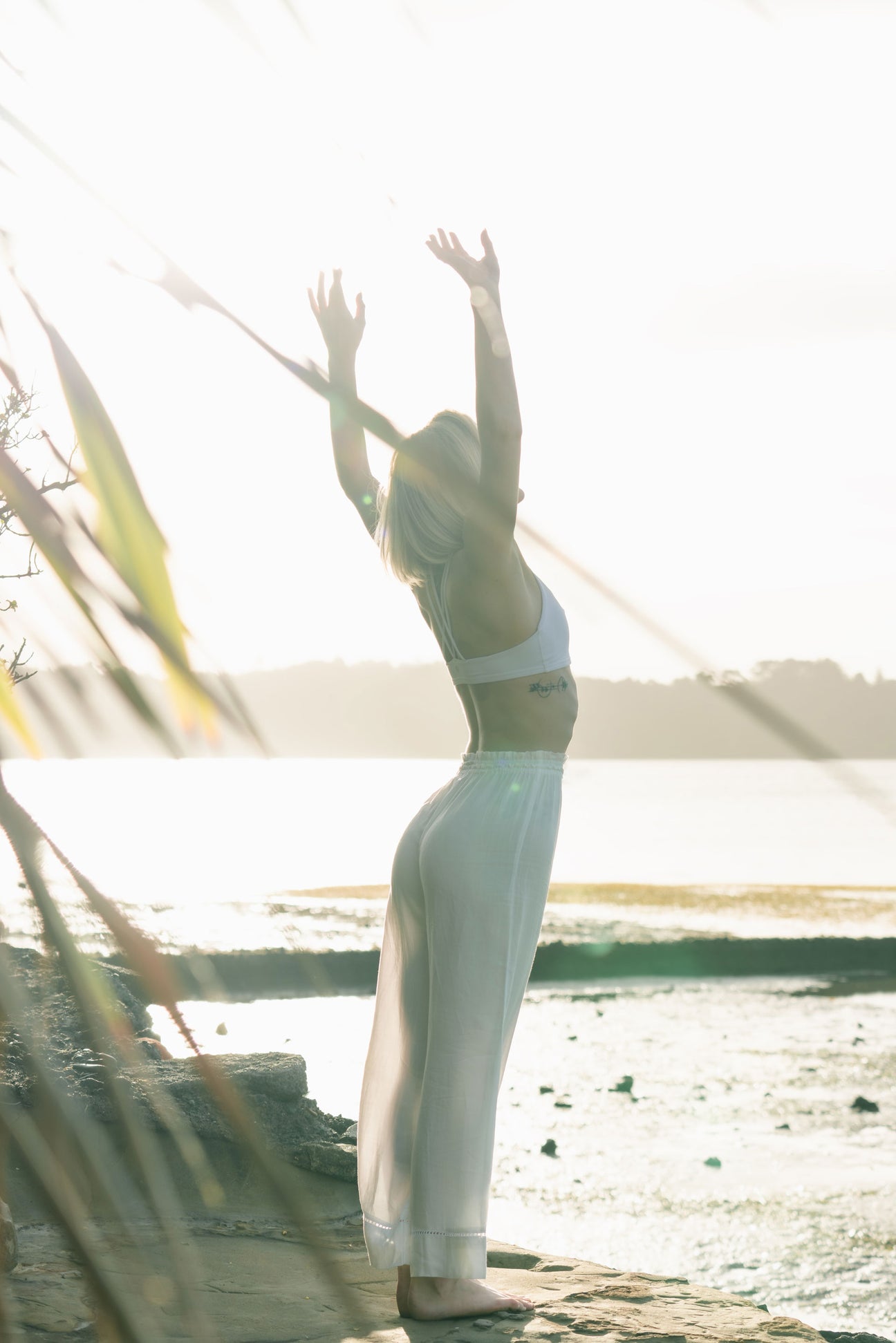Wellness at home